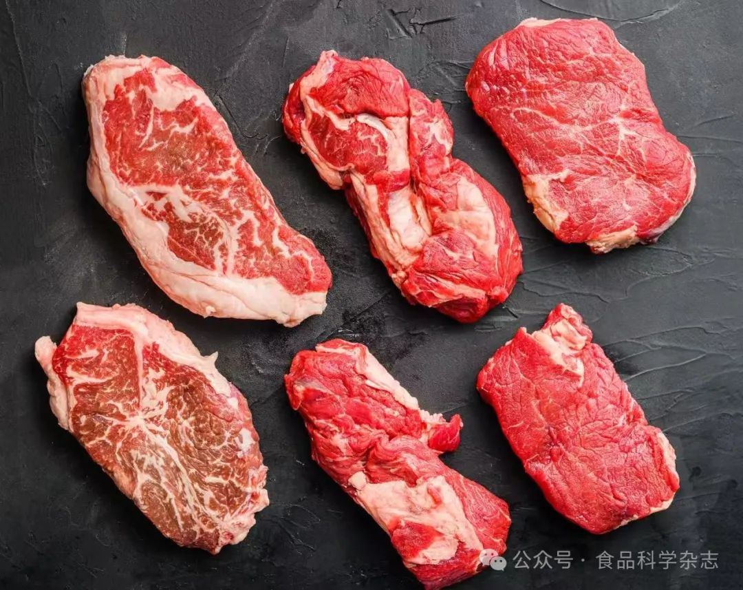 《食品科学》：湖南农业大学沈清武教授等：牛肉宰后冷却贮藏期肉色稳定性的变化及其机制