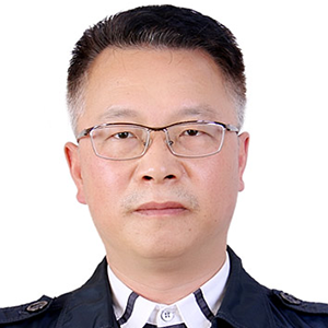电刺激调控内源酶驱动干腌火腿品质提升的机制研究