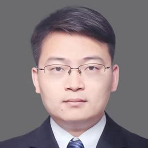 食品级复合Janus颗粒构筑与精准调控及应用